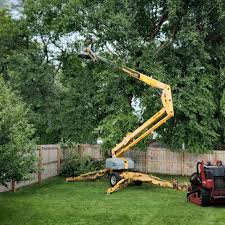 Best Tree Preservation Services  in Lake Carmel, NY