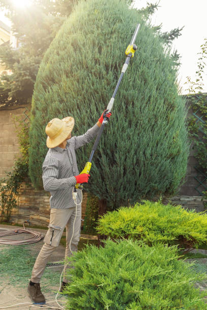 Best Lawn Pest Prevention  in Lake Carmel, NY